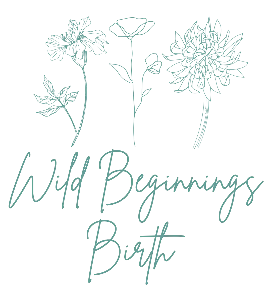 Wild Beginnings Logo